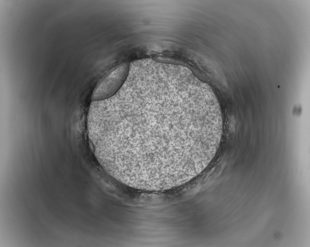 X0000101970914200808151334
