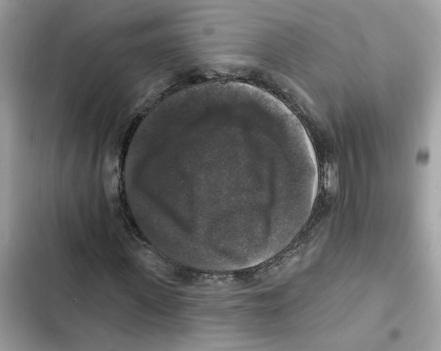 X0000101970915200808151334