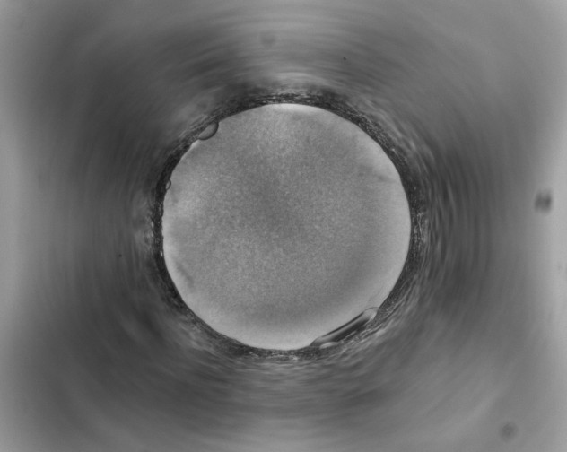X0000101970916200808151334