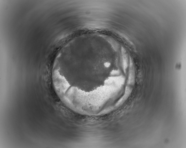 X0000101970917200808151334