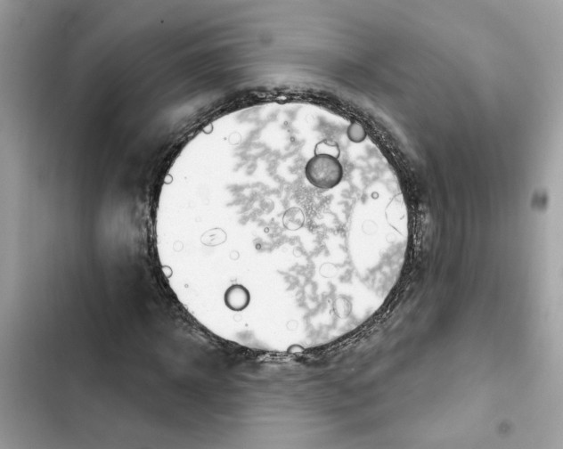 X0000101970918200808151334