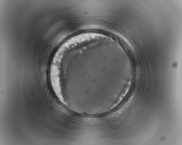 X0000101970921200808151334