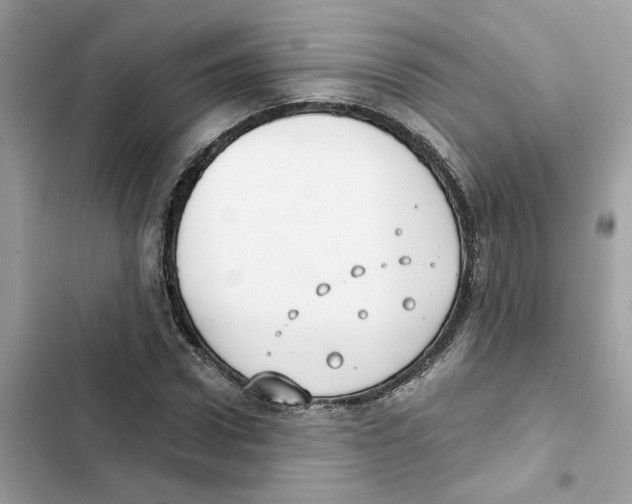 X0000101970922200808151334