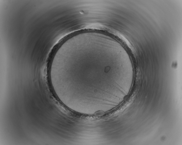 X0000101970923200808151334