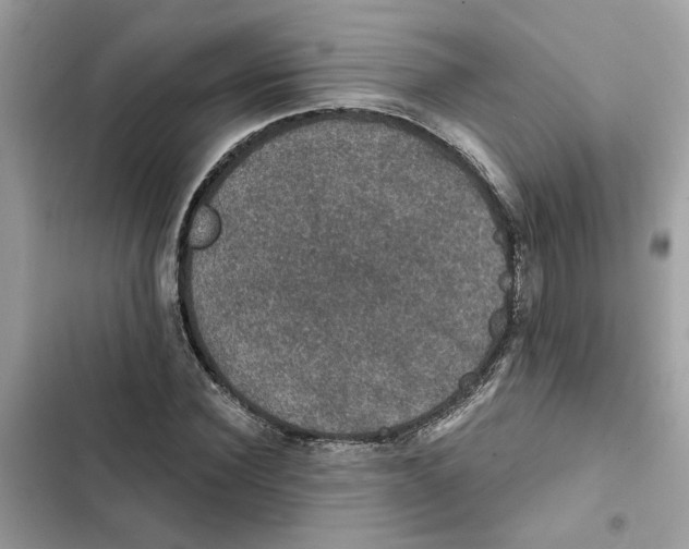 X0000101970924200808151334