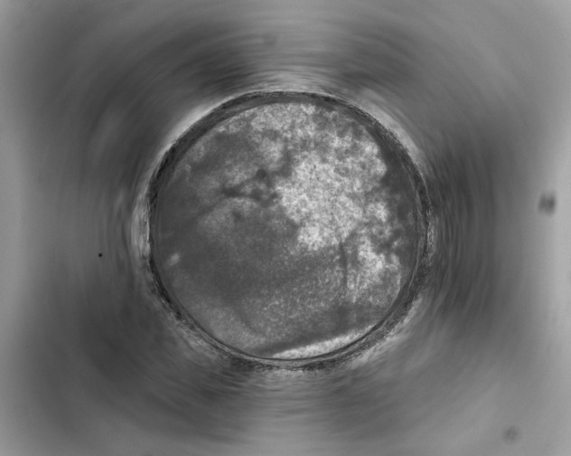 X0000101970925200808151334