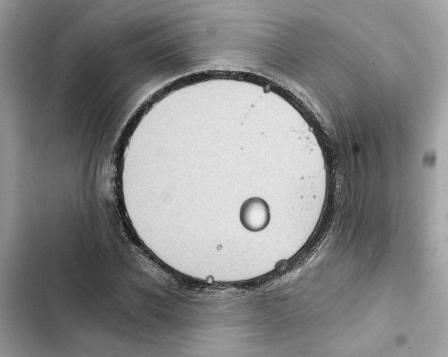 X0000101970926200808151334