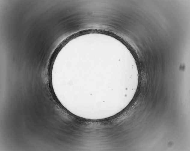 X0000101970927200808151334