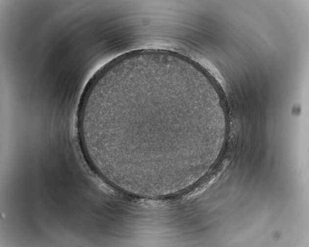 X0000101970928200808151334