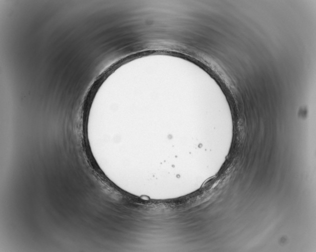 X0000101970931200808151334