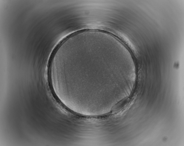 X0000101970932200808151334