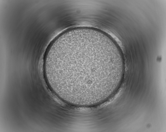 X0000101970933200808151334