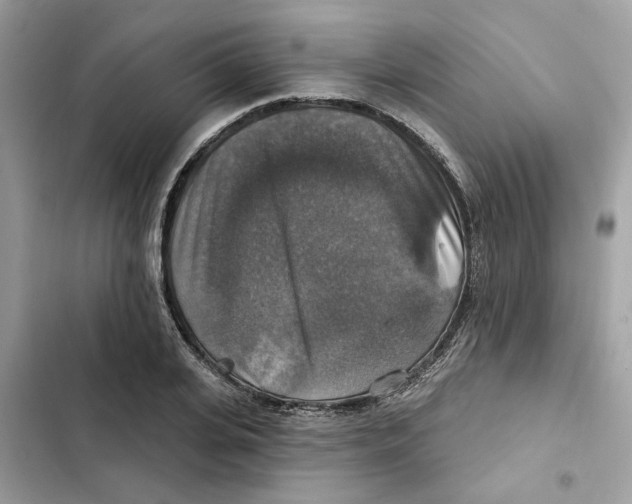 X0000101970935200808151334