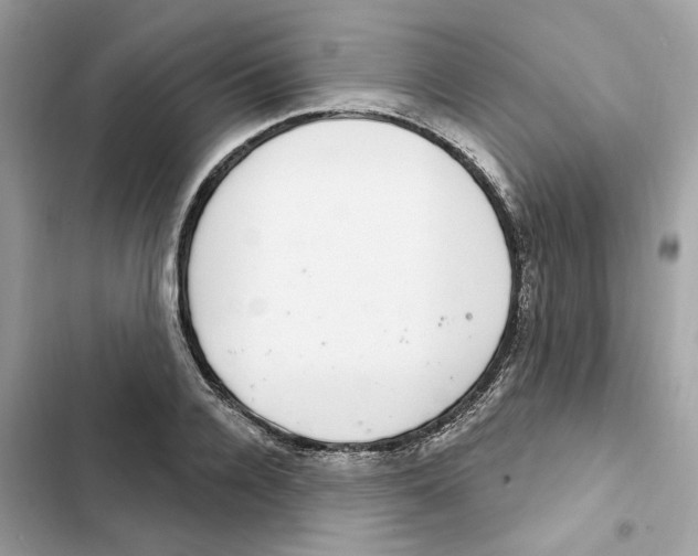 X0000101970936200808151334