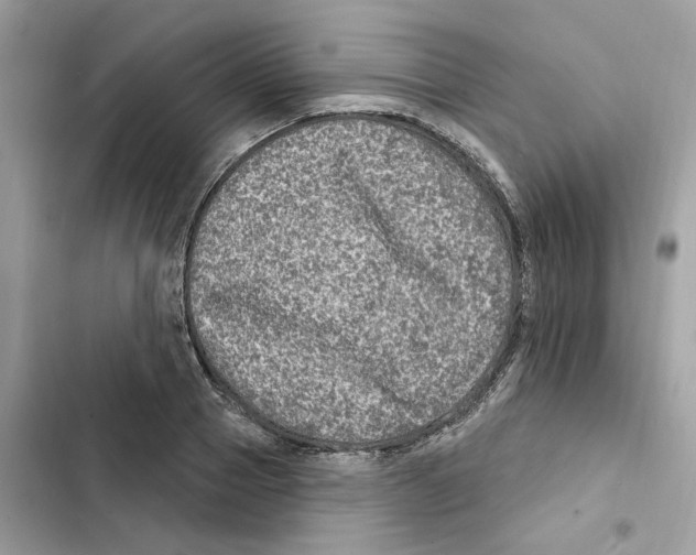 X0000101970937200808151334