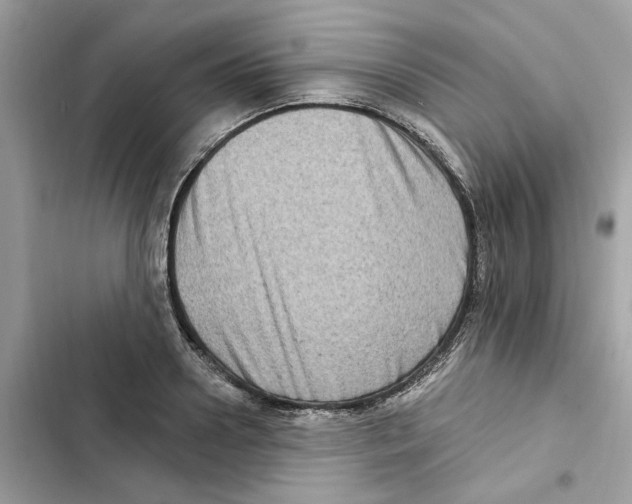 X0000101970938200808151334