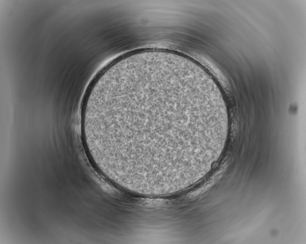 X0000101970940200808151334