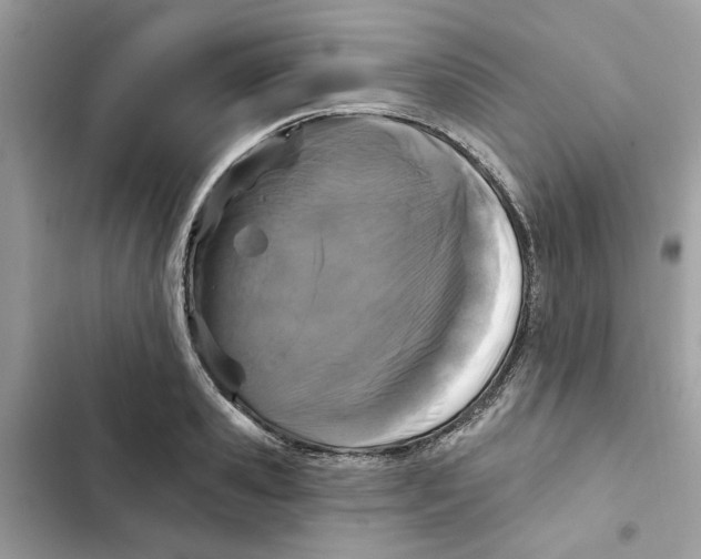 X0000101970941200808151334
