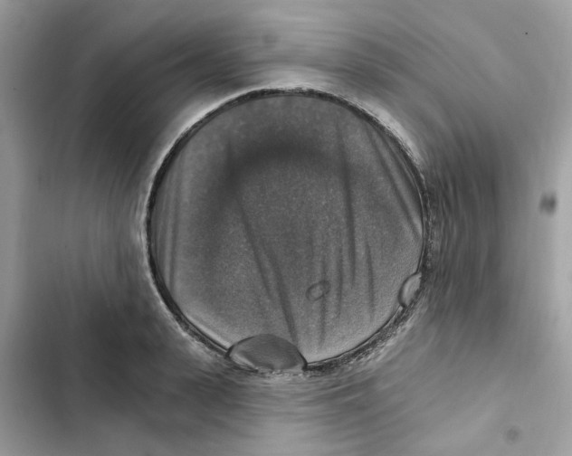X0000101970943200808151334