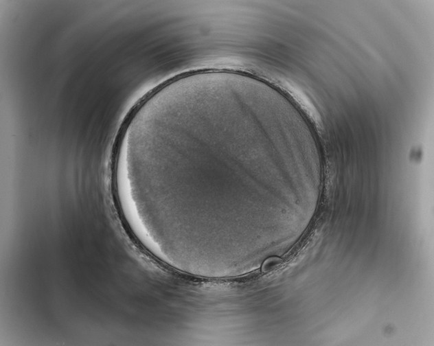 X0000101970944200808151334