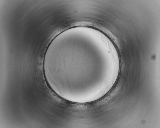 X0000101970945200808151334