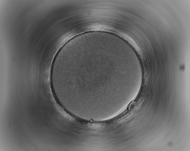 X0000101970946200808151334