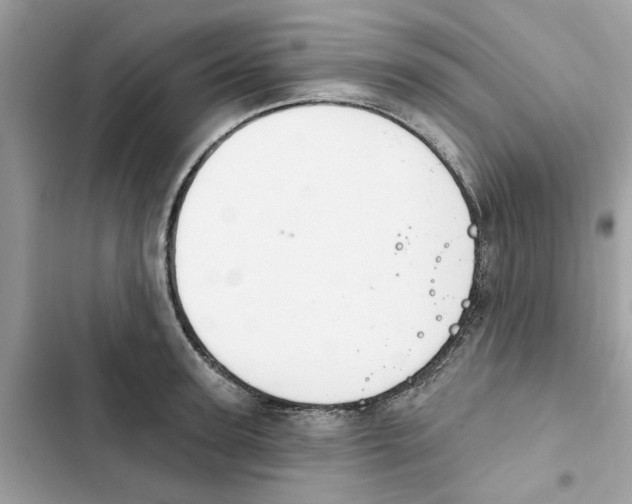 X0000101970947200808151334