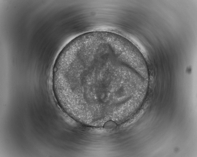 X0000101970948200808151334