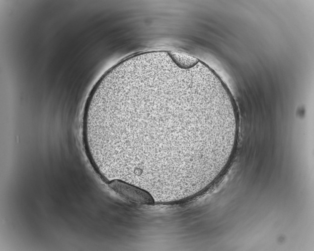 X0000101970949200808151334