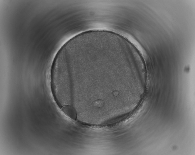 X0000101970951200808151334