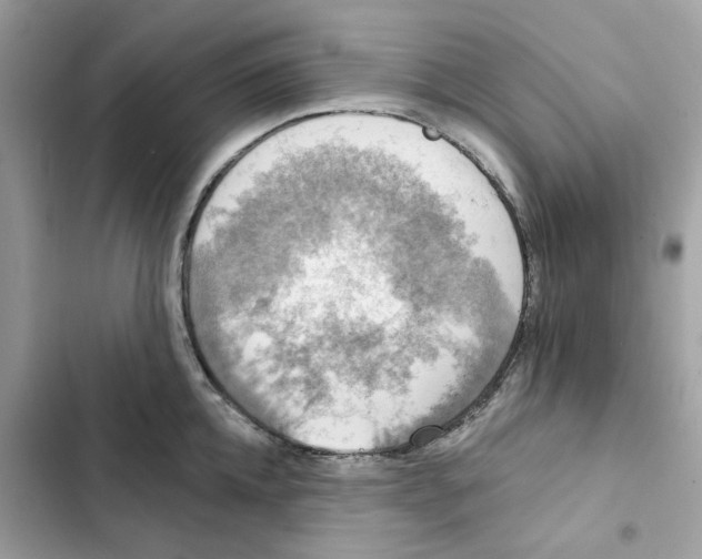X0000101970952200808151334