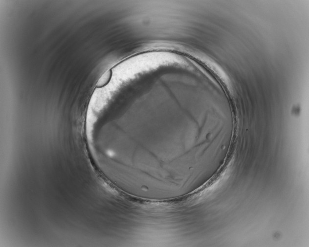 X0000101970953200808151335