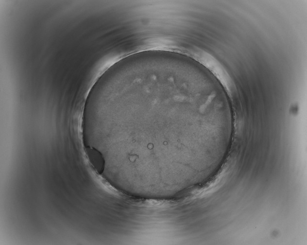 X0000101970954200808151335