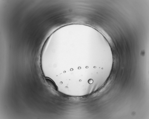 X0000101970956200808151335