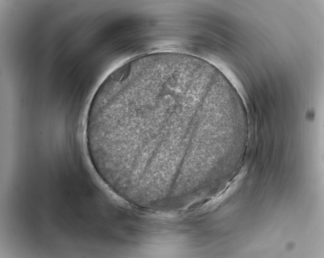 X0000101970957200808151335