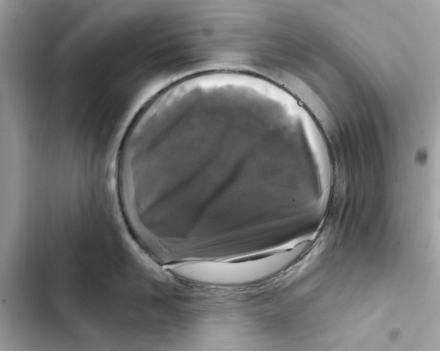 X0000101970958200808151335