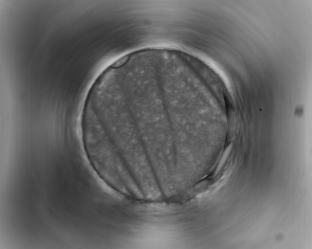 X0000101970959200808151335