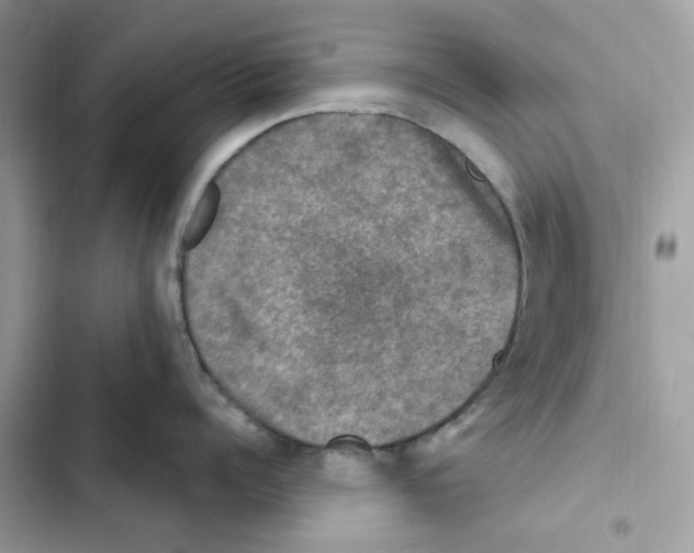 X0000101970960200808151335