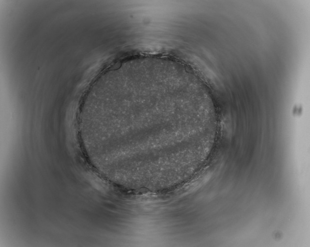 X0000101970961200808151334
