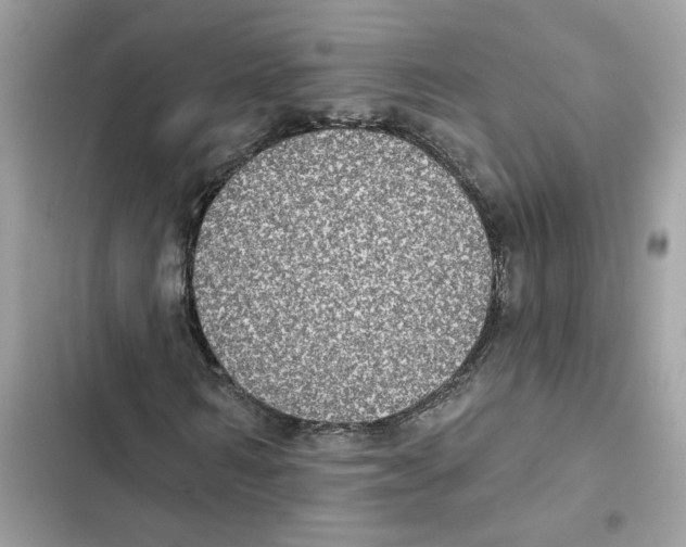 X0000101970962200808151334
