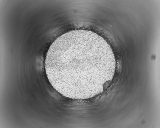 X0000101970963200808151334