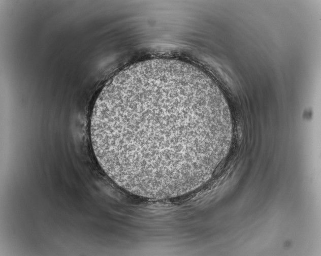 X0000101970964200808151334