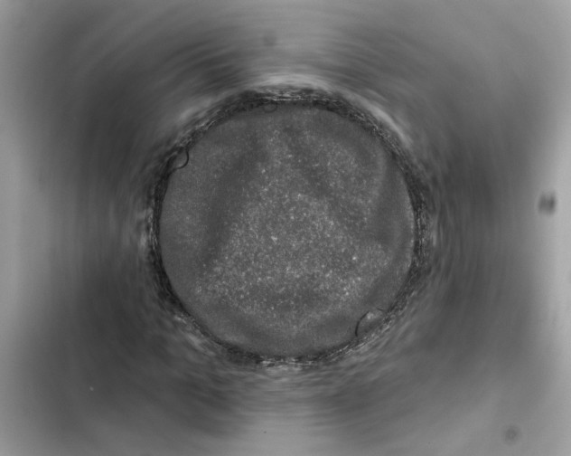 X0000101970965200808151334