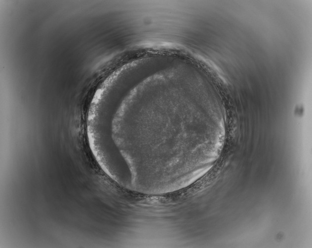 X0000101970966200808151334