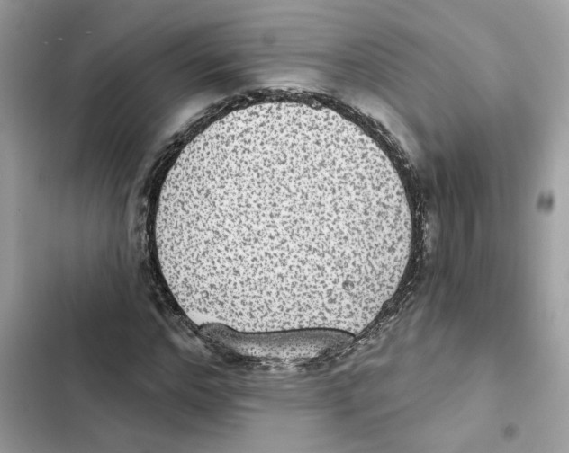 X0000101970968200808151334