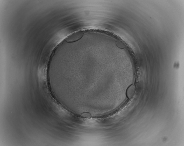 X0000101970969200808151334