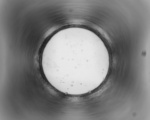 X0000101970970200808151334