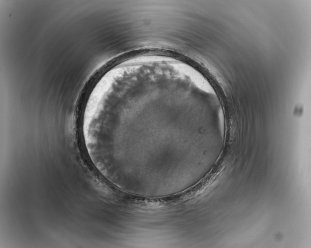 X0000101970975200808151334