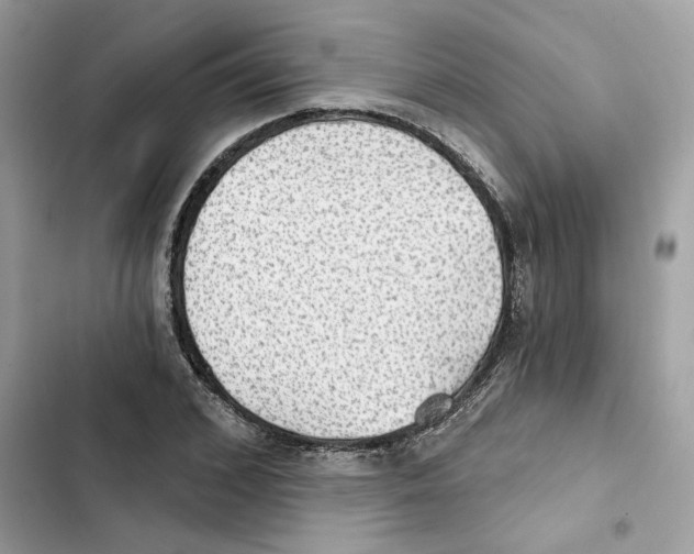 X0000101970976200808151334