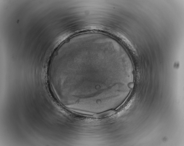 X0000101970977200808151334